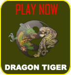 PLAY DRAGON TIGER